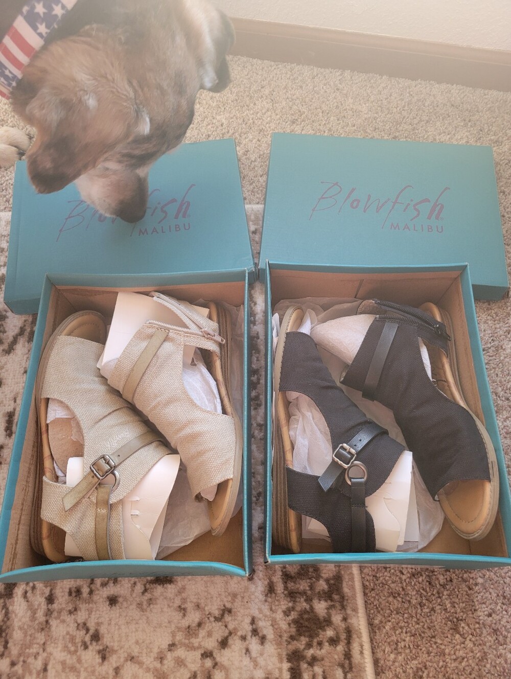 Blowfish Malibu Strappy Wedge Sandals — Beige and Black Size 7.5 Ladies.